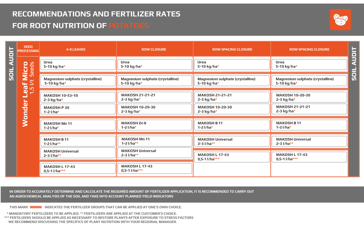 Potatoes and vegetables - MAKOSH