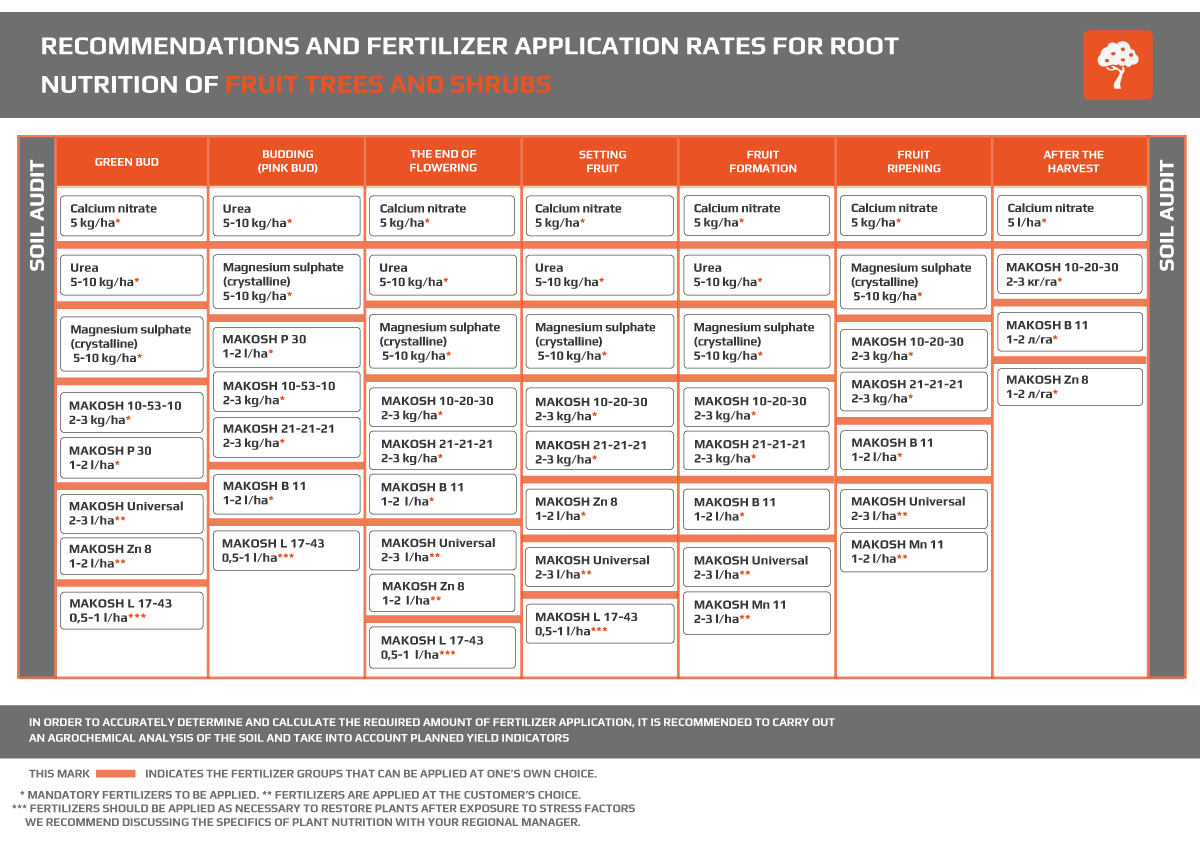 Fruit trees - MAKOSH