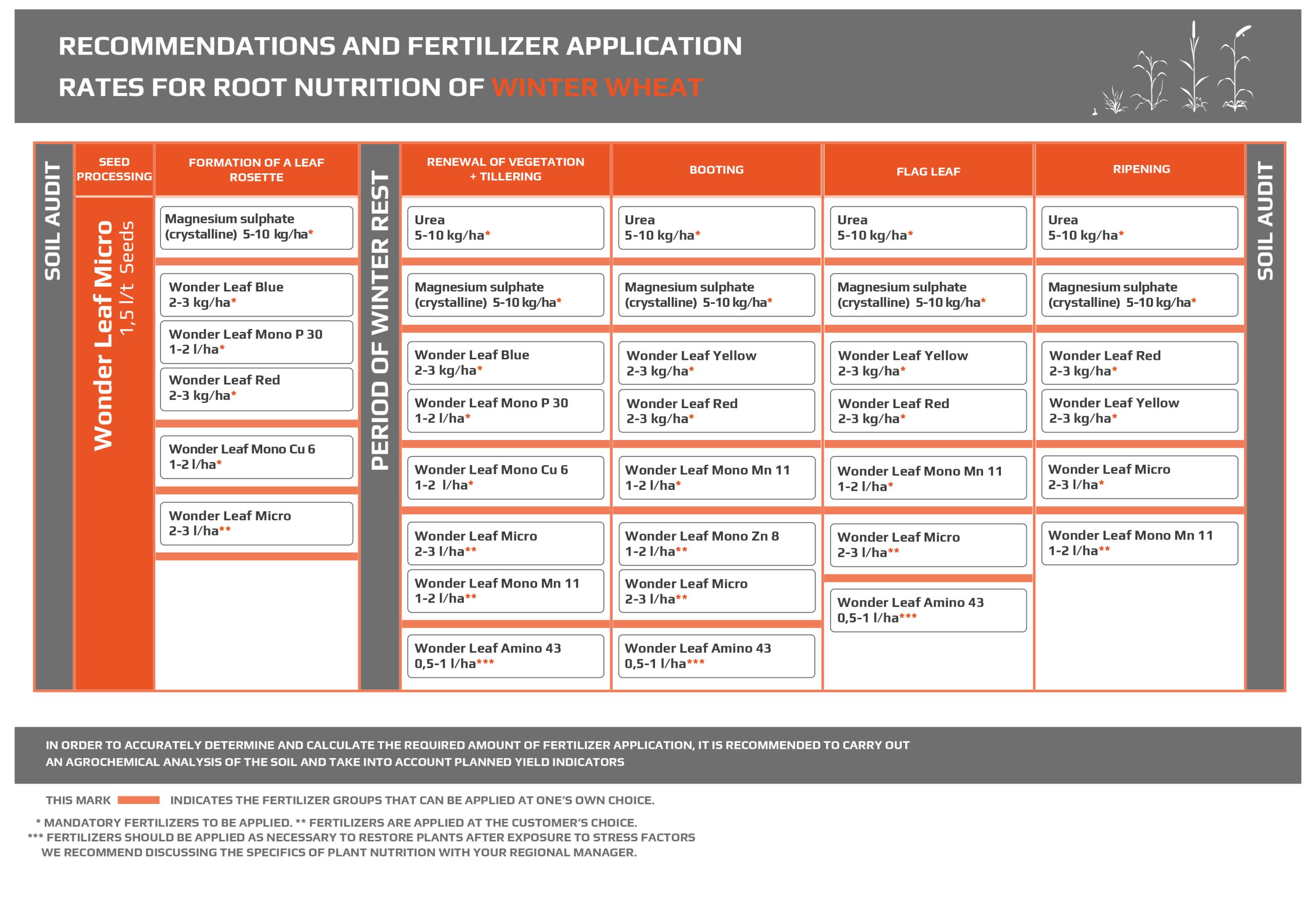 Культура - MAKOSH