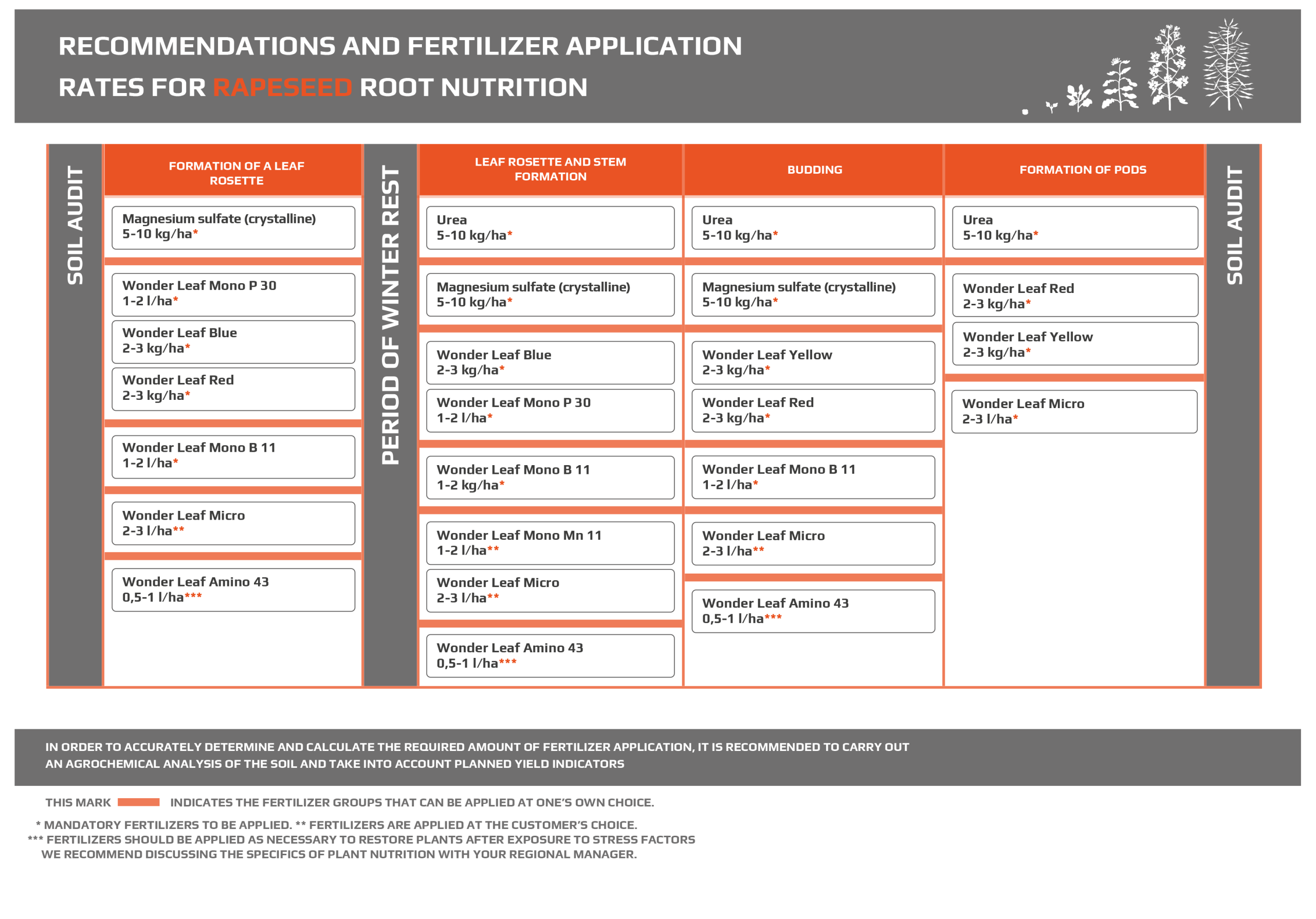 Культура - MAKOSH