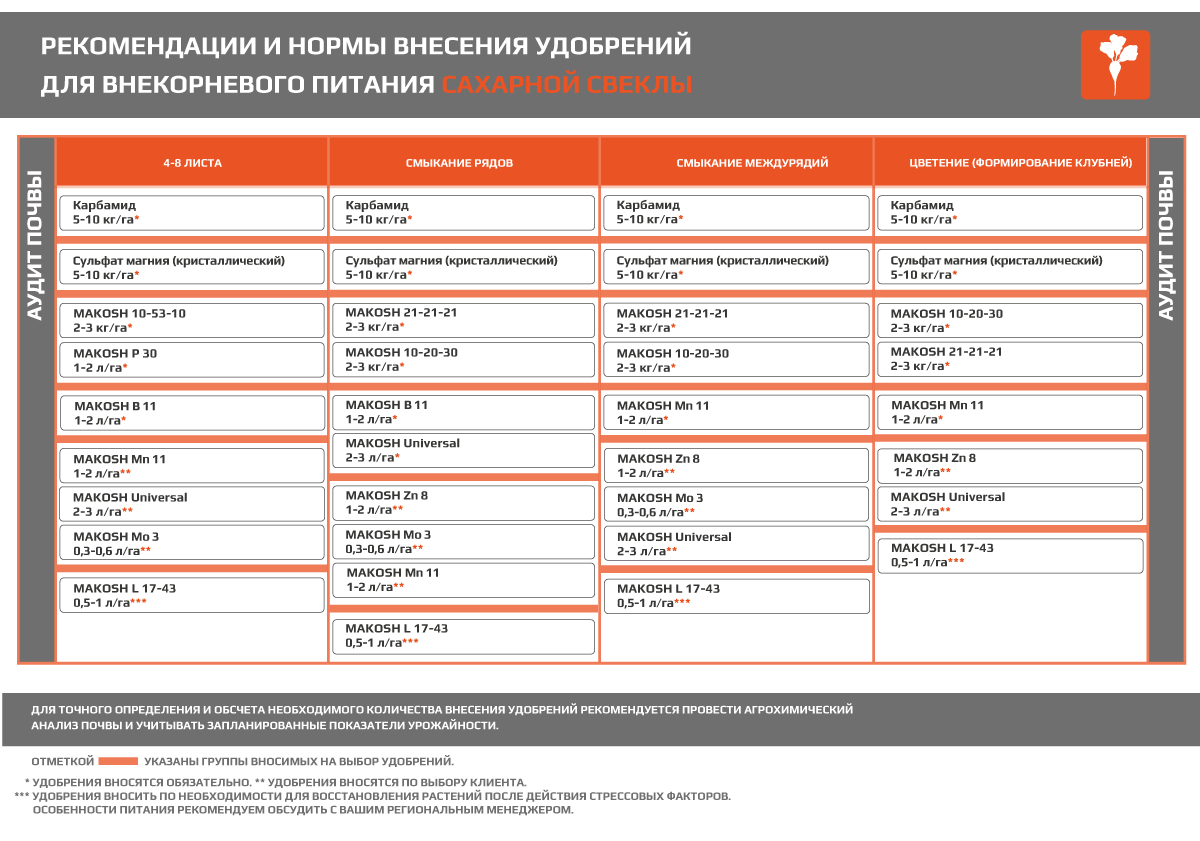 Сахарная свекла - Makosh
