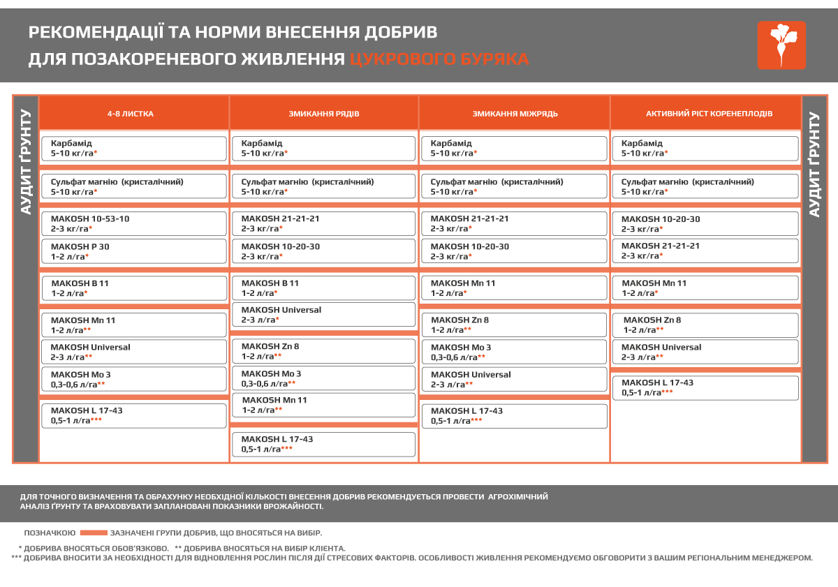 Цукровий буряк - Makosh