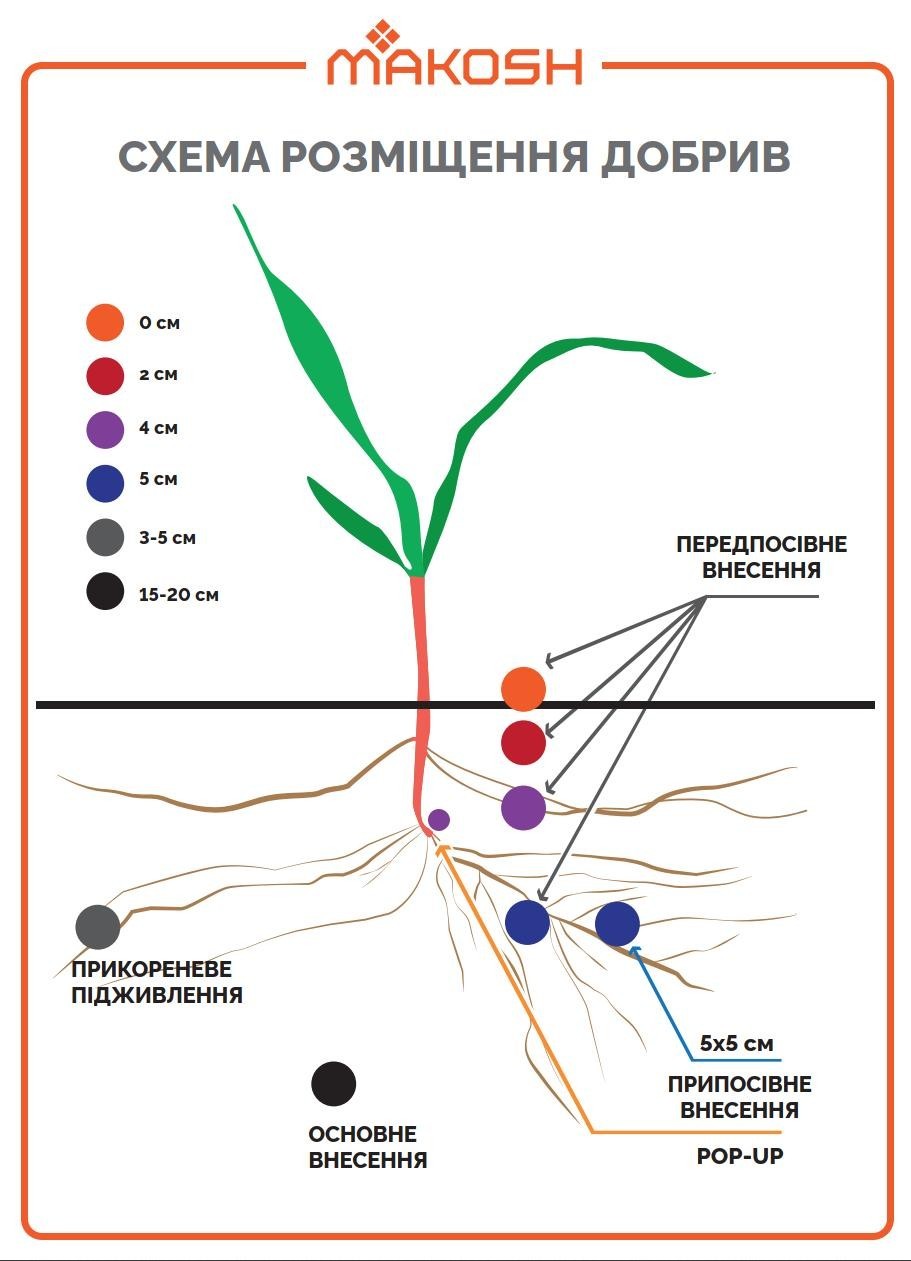 Фосфор - найважливіший елемент стартових добрив - Makosh