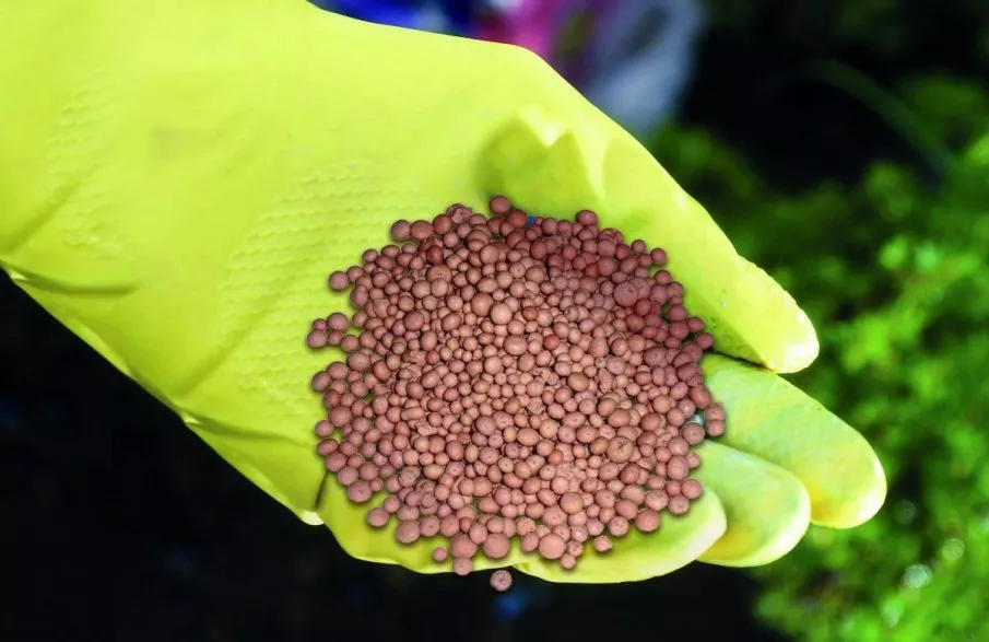 Нітроамофоска - універсальне азотно-фосфорно-калійне добриво - Makosh