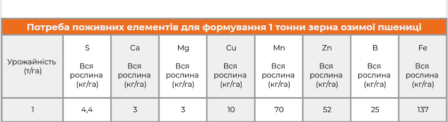 Роль міді та марганцю для озимої пшениці - Makosh