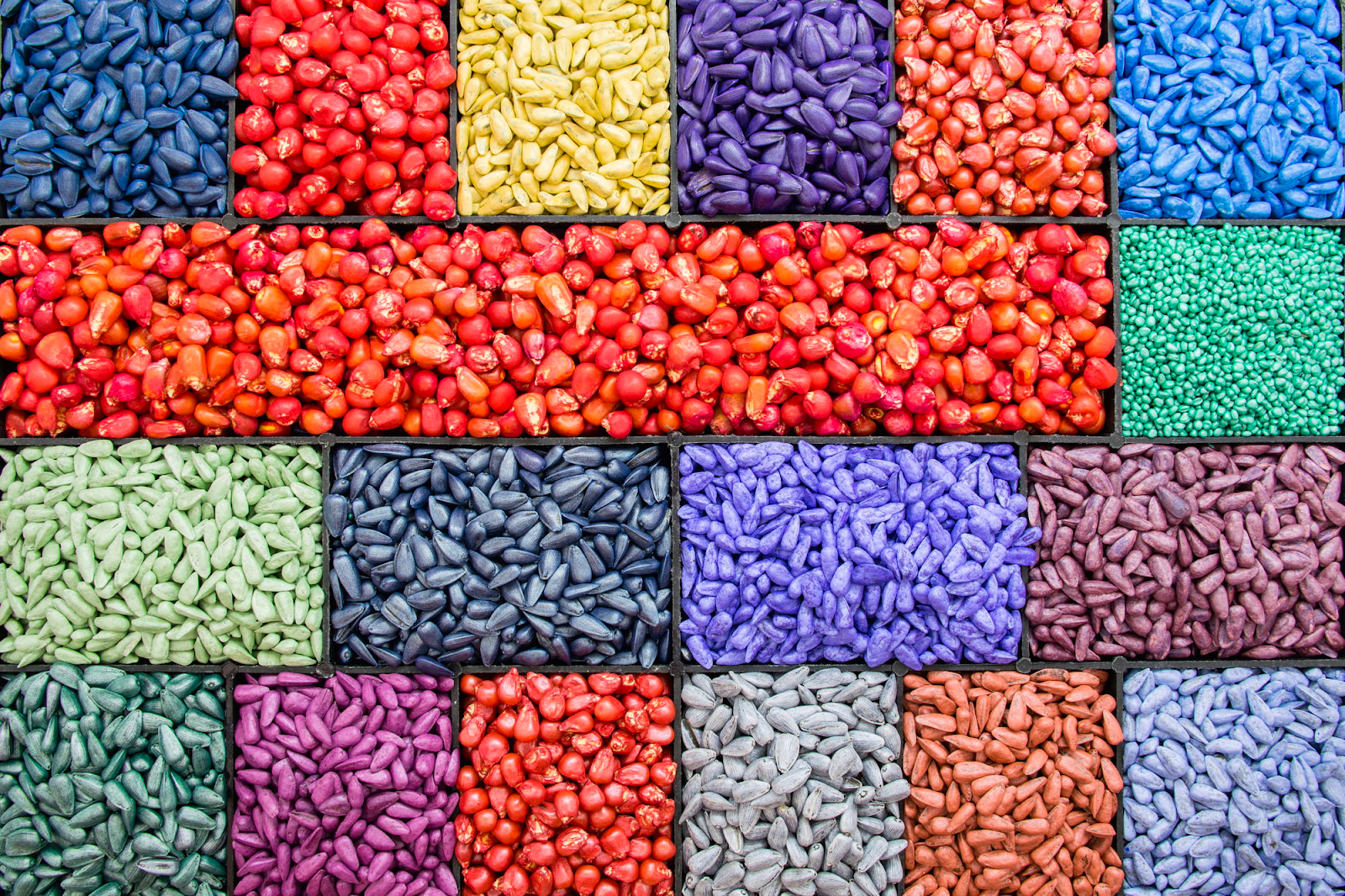 Обробка насіння – гарантія щедрого врожаю - Makosh