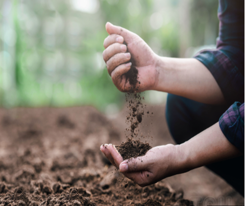 Співвідношення основних елементів у ґрунті - Makosh
