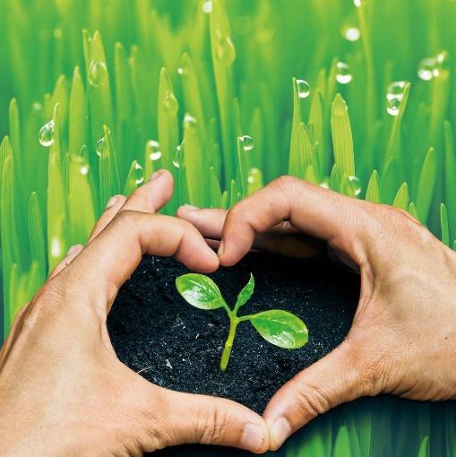 Бор. Чому він такий популярний? - Makosh