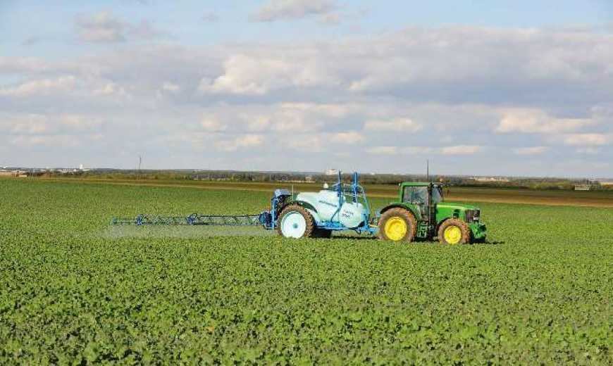 Технологія підживлення озимого ріпаку з осені - Makosh