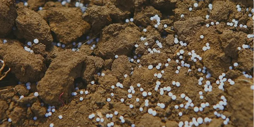 Менеджмент азоту - як отримати максимальну ефективність від застосування азотних добрив - MAKOSH