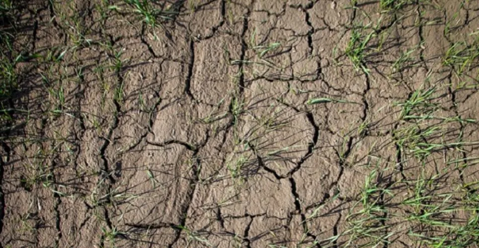 Стратегія використання мінеральних добрив в умовах дефіциту вологи - Makosh