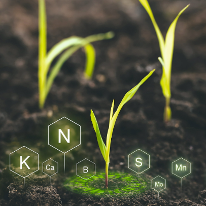 Співвідношення основних елементів у ґрунті - Makosh