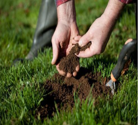 Підкислення ґрунту через застосування добрив - Makosh