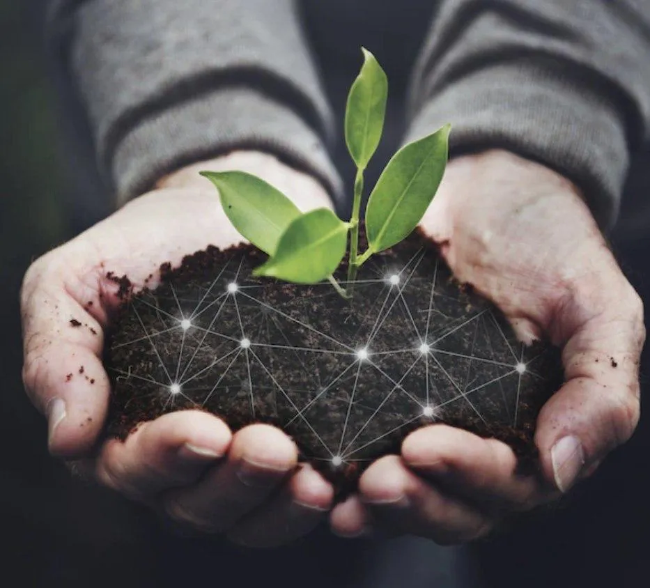 Аудит Ґрунту від MAKOSH – співпраця з однією з найкращих лабораторій США - Makosh