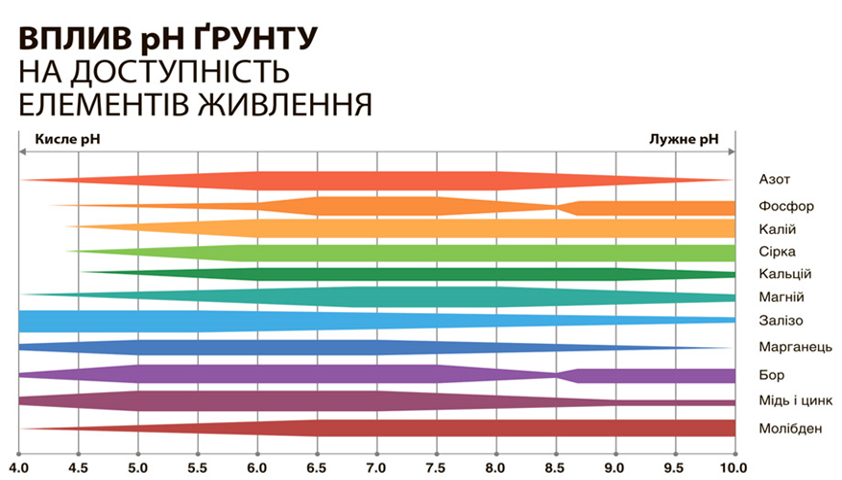 Вплив кислотності ґрунту на розвиток сільськогосподарських культур - Makosh